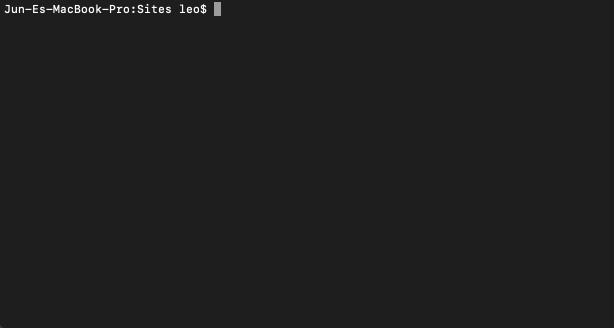 Running the script to install WordPress