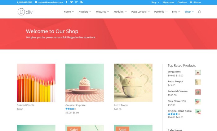 The Divi theme.