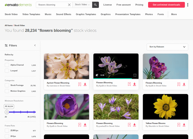 Envato Elements - Flowers Blooming